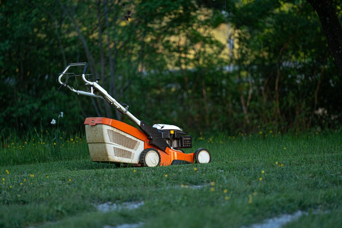 Lawn Care in Nacogdoches, TX
