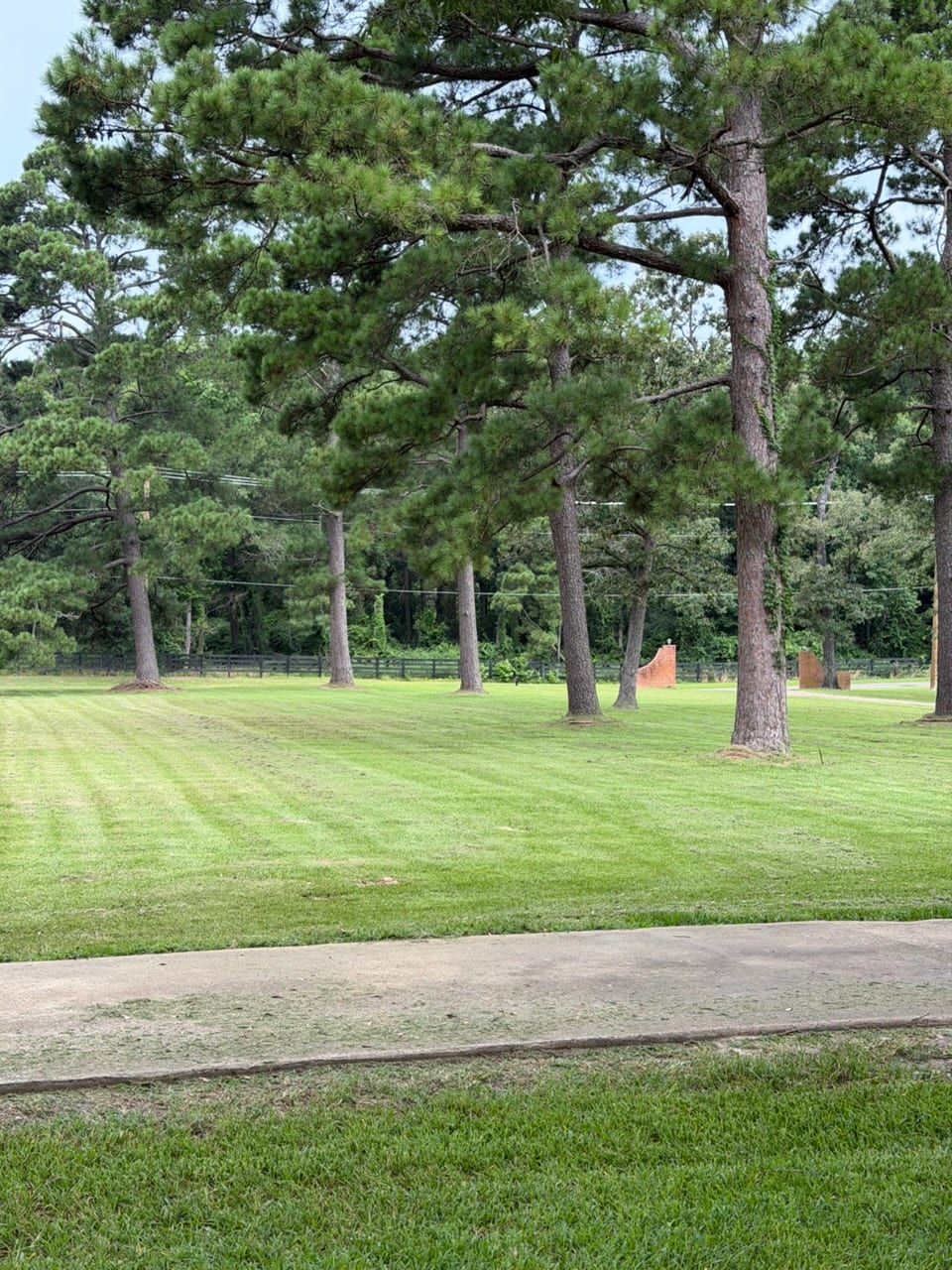 Freshly mowed acreage with clean mowing stripes and pine trees